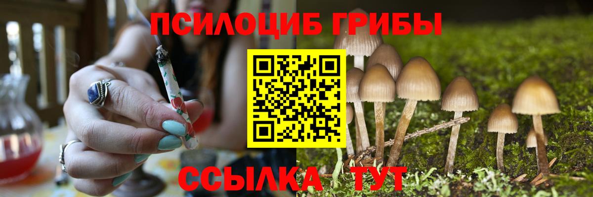 Псилоцибиновые грибы Psilocybe  Галлюциногенные грибы Magic Shrooms  наркота  Вход с VPN  Котовск 